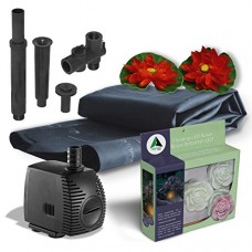 Algreen Products Pond Kit with Solar Lighting, 300-Gallon