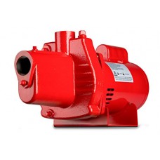 Red Lion RJS-100-PREM 602208 Premium Cast Iron Shallow Well Jet Pump
